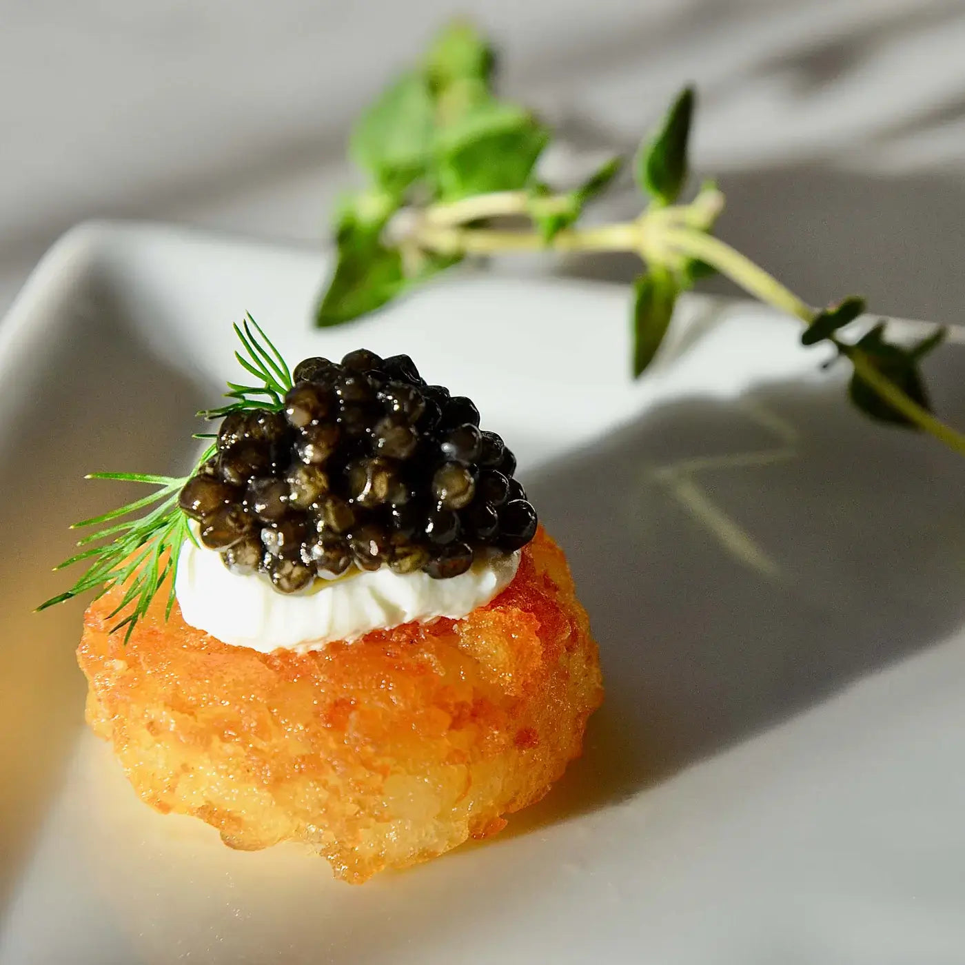 Siberian (Baerii) Caviar
