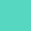 Siser Retro Mint Easyweed  12