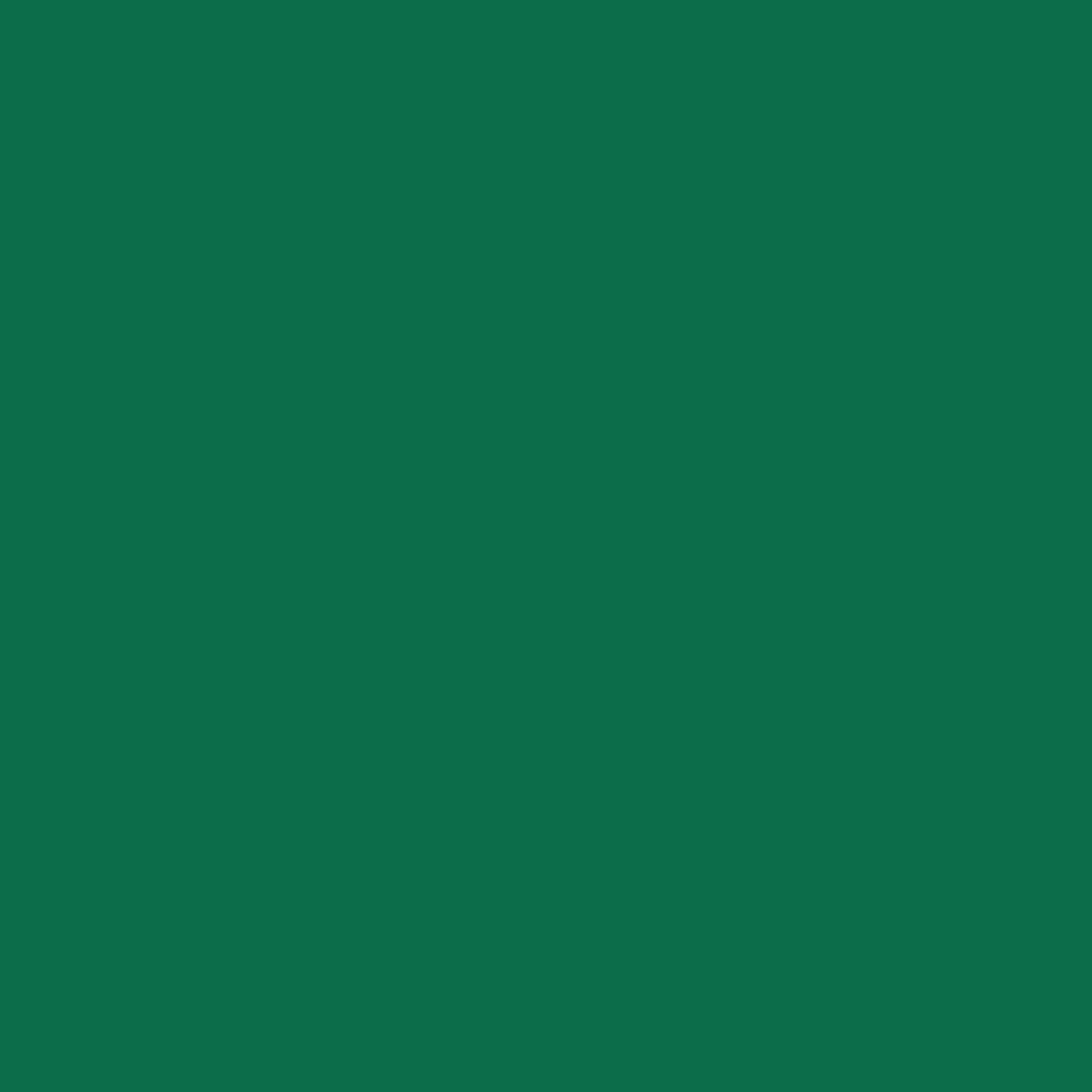 Siser Matte Green Easyweed  12