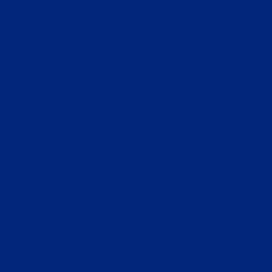 Siser Matte Royal Blue Easyweed 12