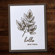 Sketchy Floral - Hello 4x6