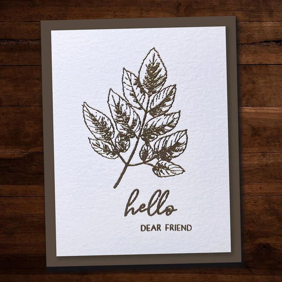 Sketchy Floral - Hello 4x6
