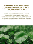 SKIN1004 Madagascar Centella Ampoule 100ml