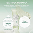 SKIN1004 Madagascar Centella Tea-Trica BHA Foam 125ml