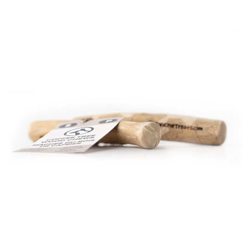 Small Coffee Wood Chew