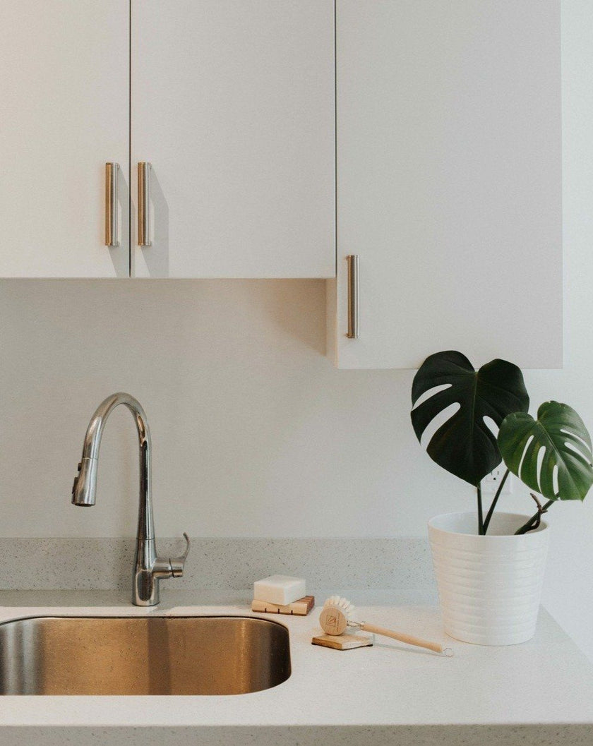 Solid Dish Soap Bar | Bergamot + Lime