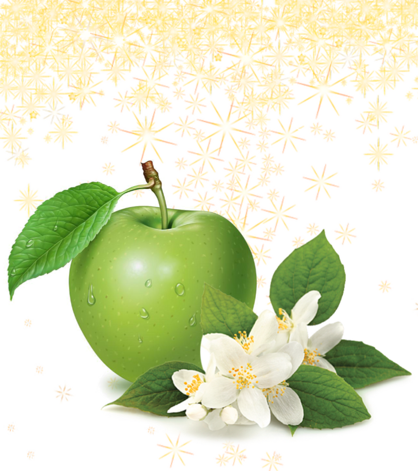 Fragrance Oil - Sparkling Clean