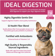 SquarePet - Ideal Digestion Dry Dog Food