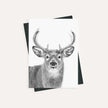 Stag - greeting card