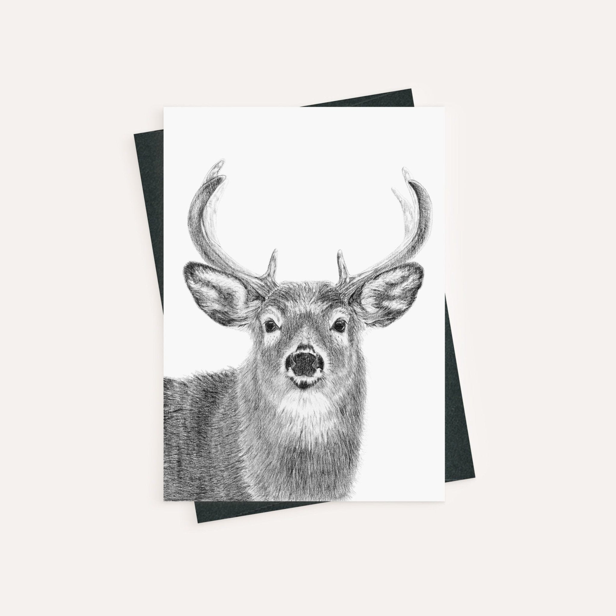Stag - greeting card