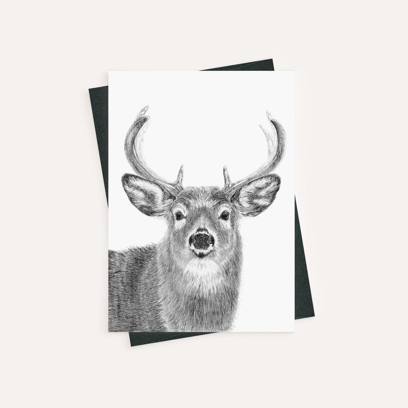 Stag - greeting card