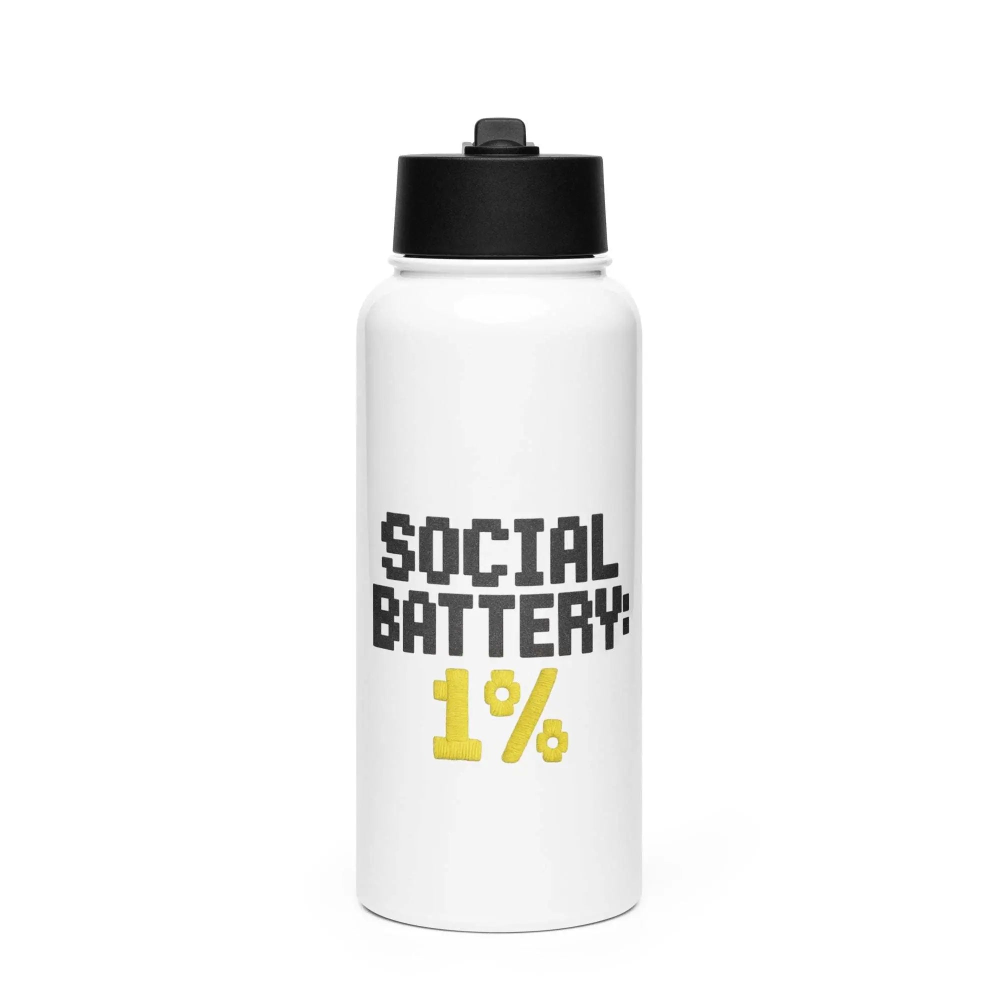 Stainless steel water bottle with a straw lid