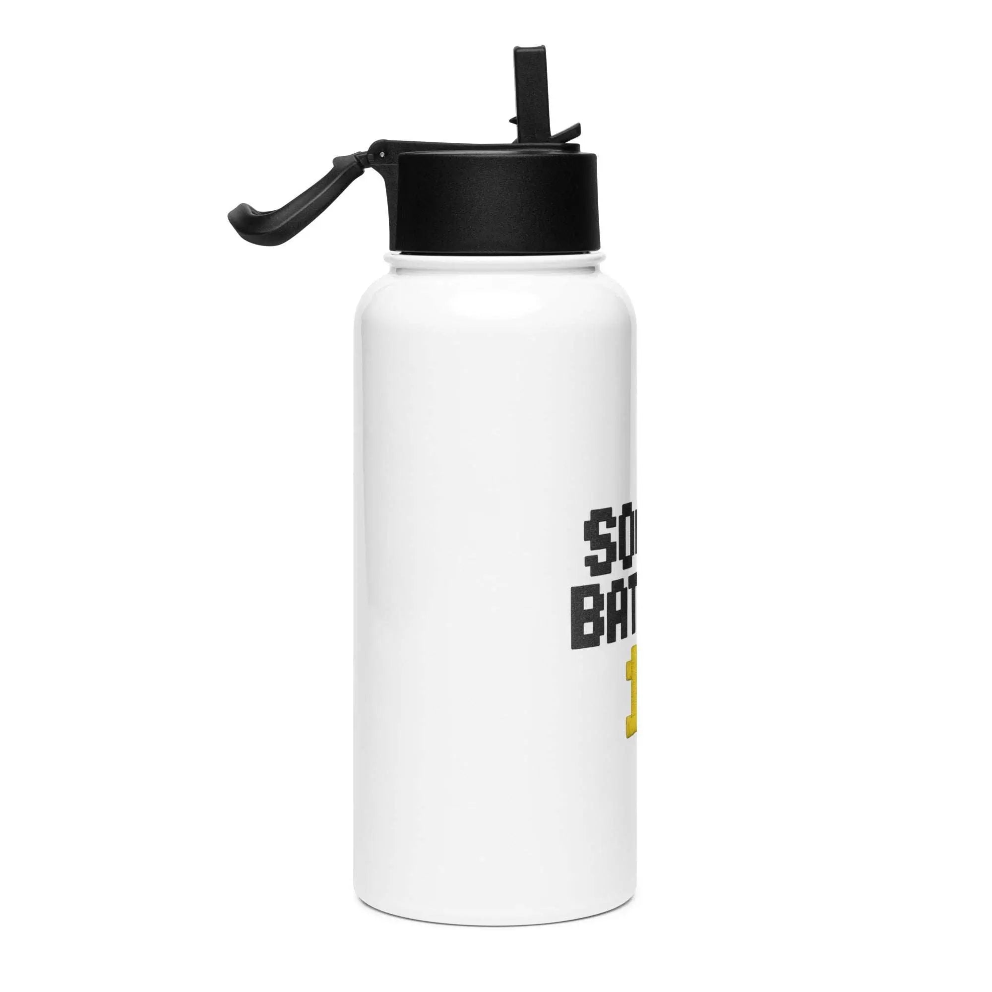 Stainless steel water bottle with a straw lid