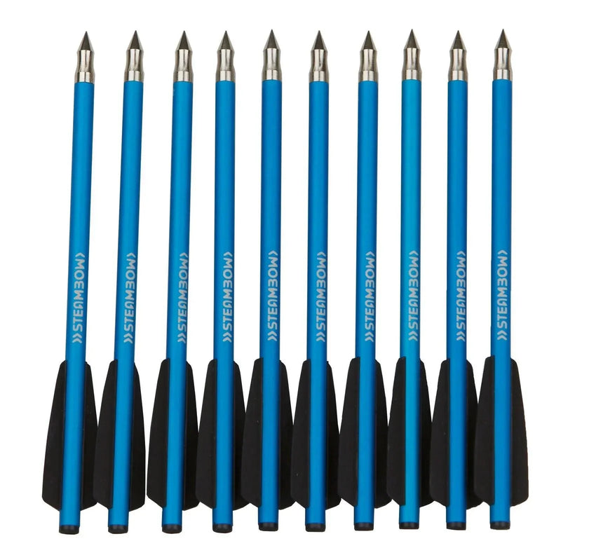 Steambow Archery AR-Series Target Arrows - 10 Pack