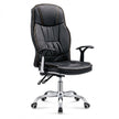 Stellenbosch Full-Grain Leather Executive Chair