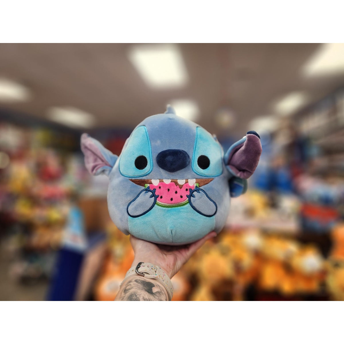 Stitch 8