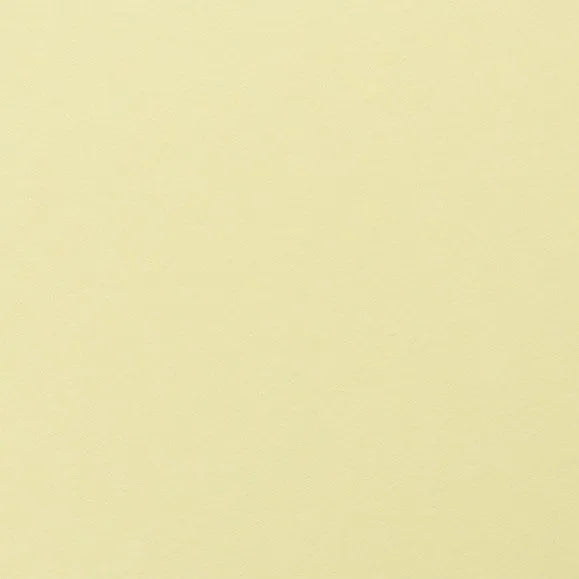 Clairefontaine - Maya Cardstock 120lb Paper - 20x28