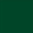 Siser Easyweed Stretch Pine Green