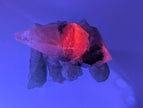 Striking Dogtooth Calcite with Dendritic Inclusions and Sugar Sphalerite