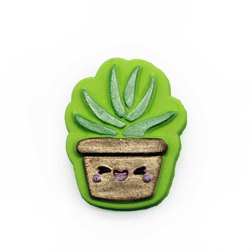 Succulent Plant