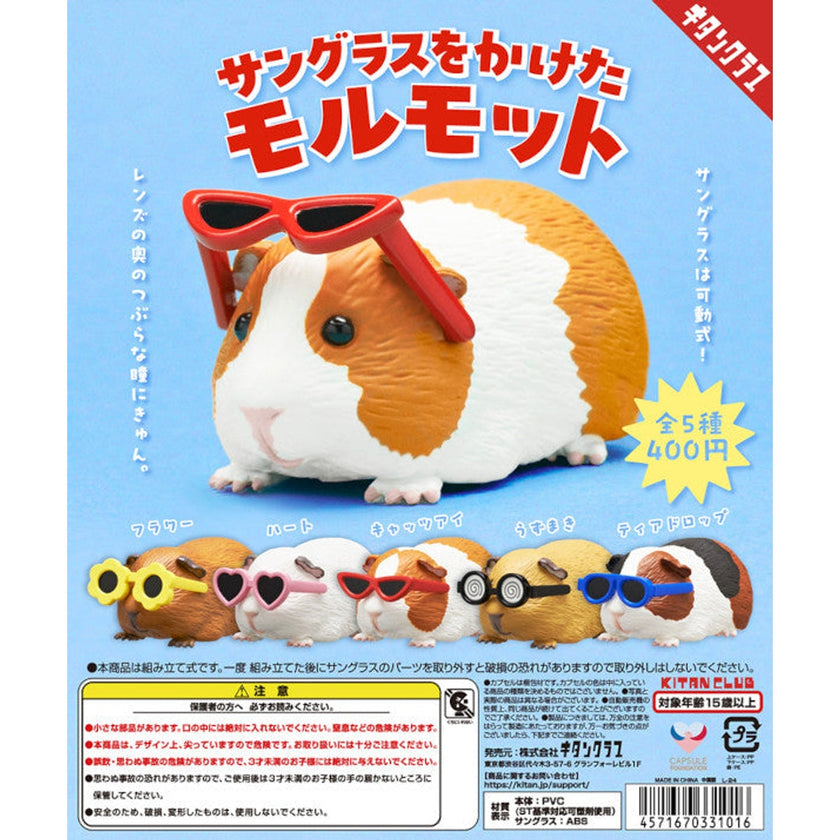 Sunglasses Guinea Pig Blind Box