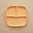 Silicone Suction Plate