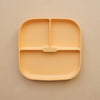 Silicone Suction Plate