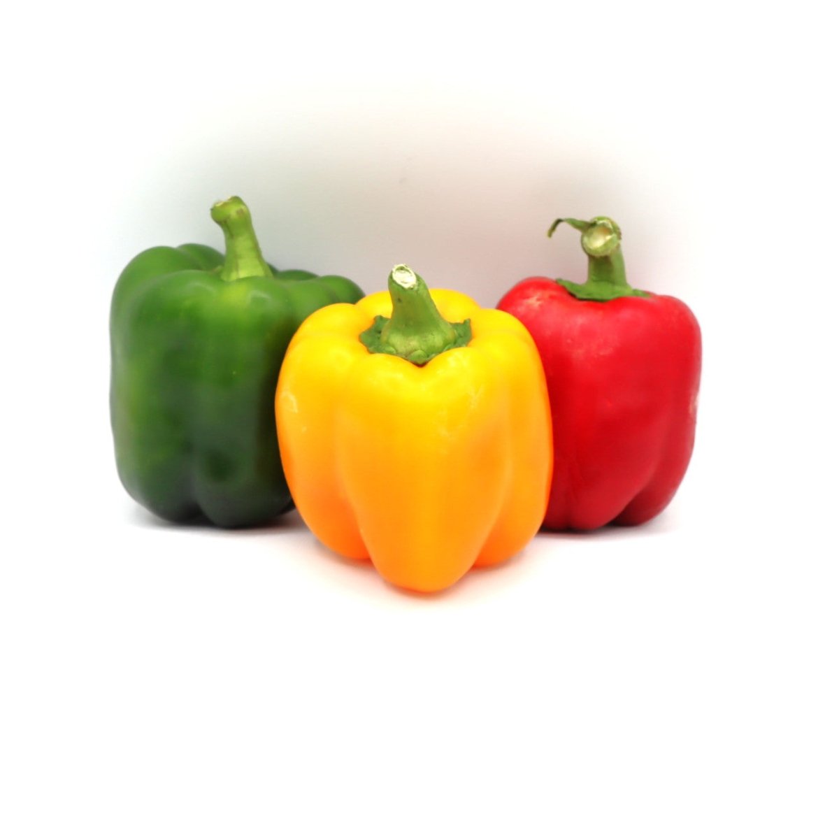 Sweet Peppers - Bell - Fresh Harvest Fruiting Crop