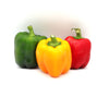 Sweet Peppers - Bell - Fresh Harvest Fruiting Crop