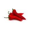 Sweet Peppers - Hungarian Banana - Fresh Harvest Fruiting Crop