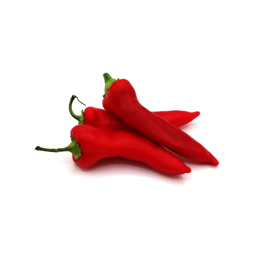 Sweet Peppers - Hungarian Banana - Fresh Harvest Fruiting Crop