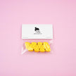Swiss Cheese Magnet Set