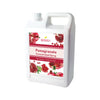 Pomegranate | Multi-Use | Bubble Tea Syrup | Fruit Puree | Fruit Smoothie/Slushie Mix | Foodservice Canada | Ships Free Within Canada on Orders Above CAD $199