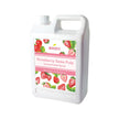 Strawberry | Multi-Use | Bubble Tea Syrup | Fruit Puree | Fruit Smoothie/Slush Mix | Foodservice Canada | Ships Free Within Canada on Orders Above CAD $199