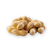Fresh Raw Peanuts