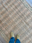 Tabriz Paisley Rug | 4' 9