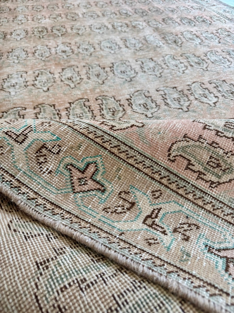 Tabriz Paisley Rug | 4' 9