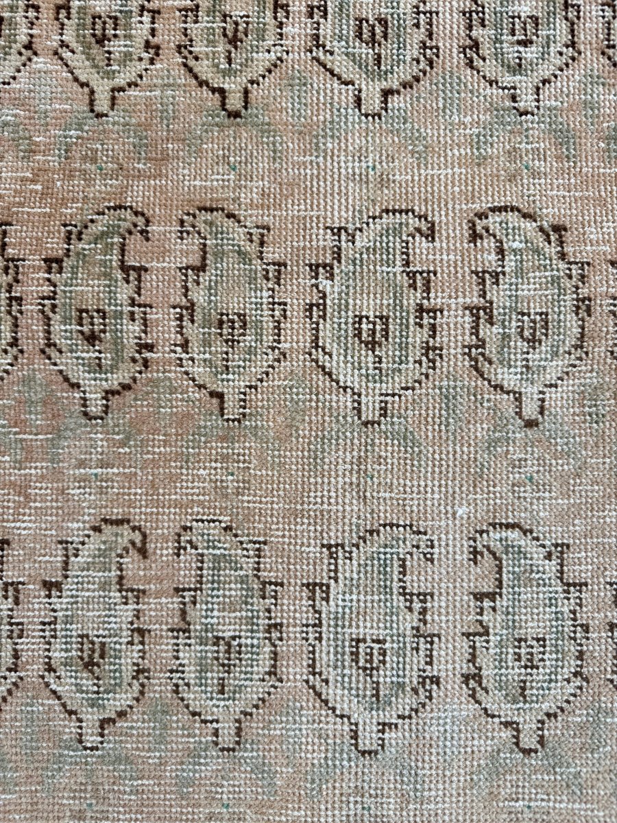 Tabriz Paisley Rug | 4' 9