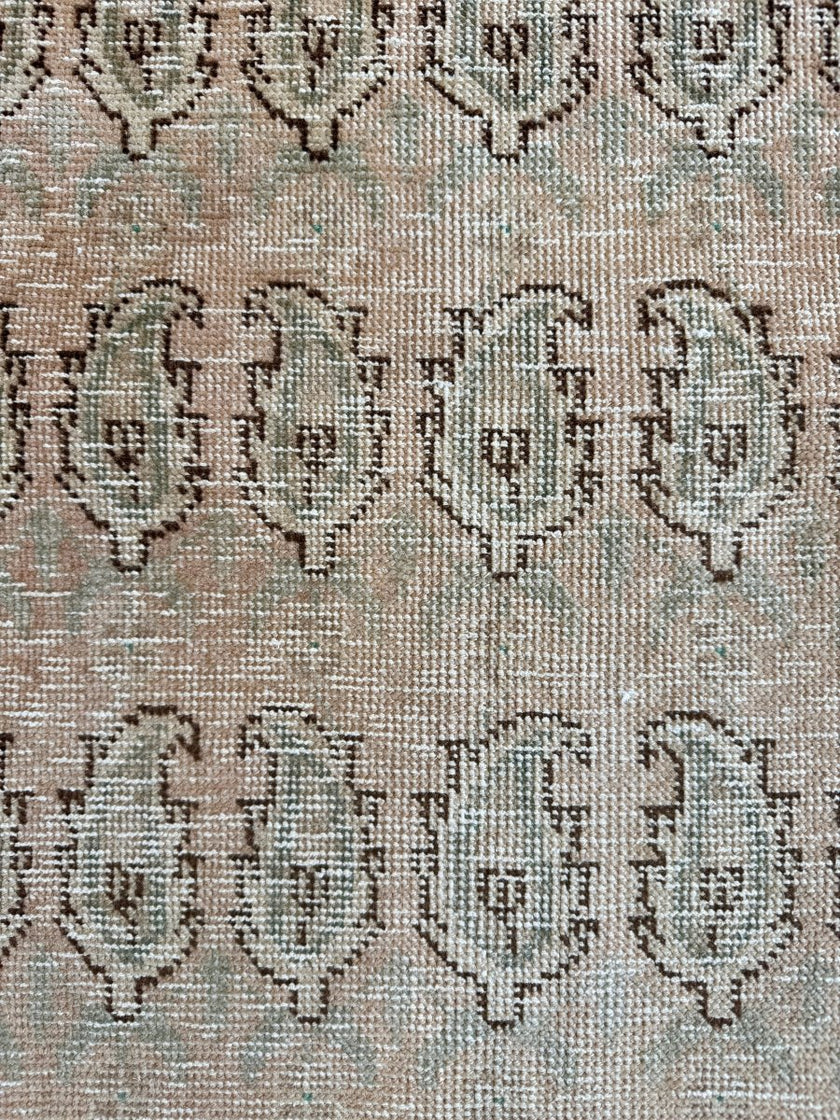 Tabriz Paisley Rug | 4' 9