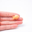 Taiyaki Magnet Set | Fish-shaped Pastry Fridge Magnet