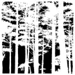 The Crafters Workshop 6x6 Stencil Tree Canopy