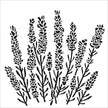 The Crafters Workshop 6x6 Stencil Lavender