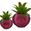 The Office Shrute Farms Rustic Ceramic Planter