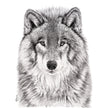 The Wolf Greeting Card