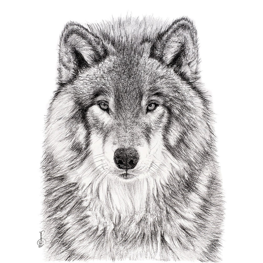 The Wolf Greeting Card