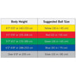 TheraBand PRO Series SCP Exercise Balls