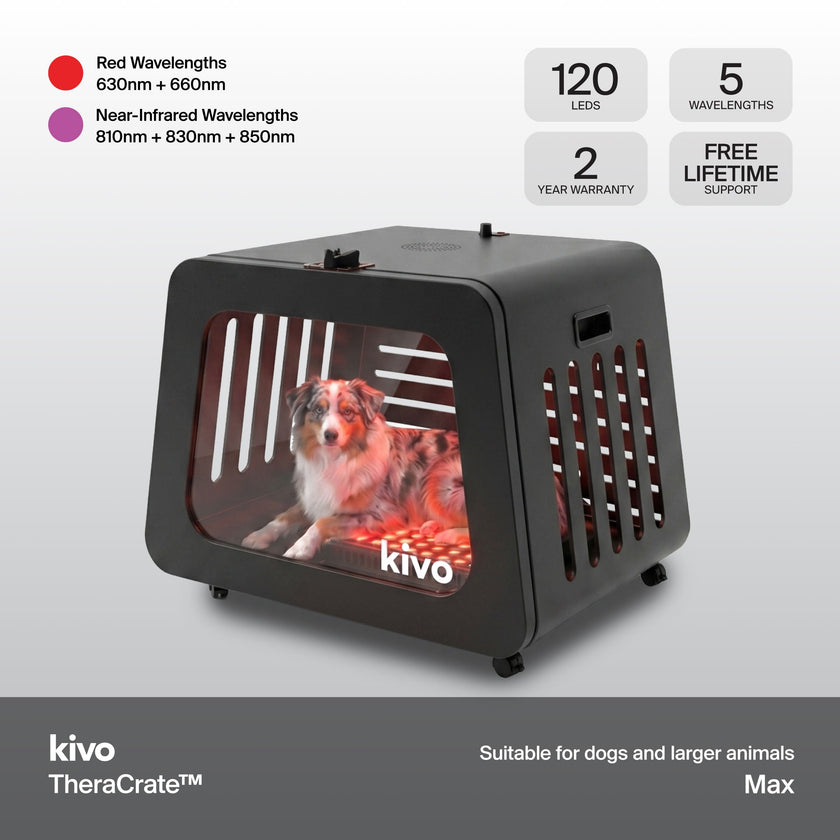 Kivo TheraCrate for Pets