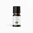 Thyme Essential Oil – Regro by Rayhana 10 ML