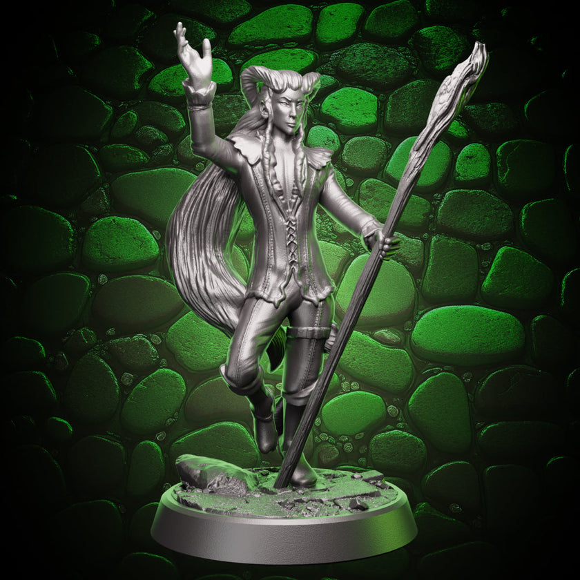 Tiefling Sorcerer | Staff  | 5e