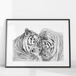 Amur Tigers - wildlife art print - collaboration with  La Fondation du Zoo de Granby